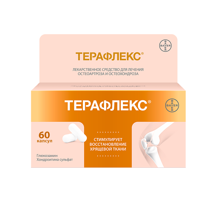 ТЕРАФЛЕКС капсулы N60