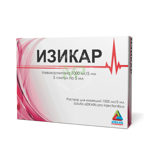 ИЗИКАР раствор для инъекций 5мл 1000мг/5мл N5