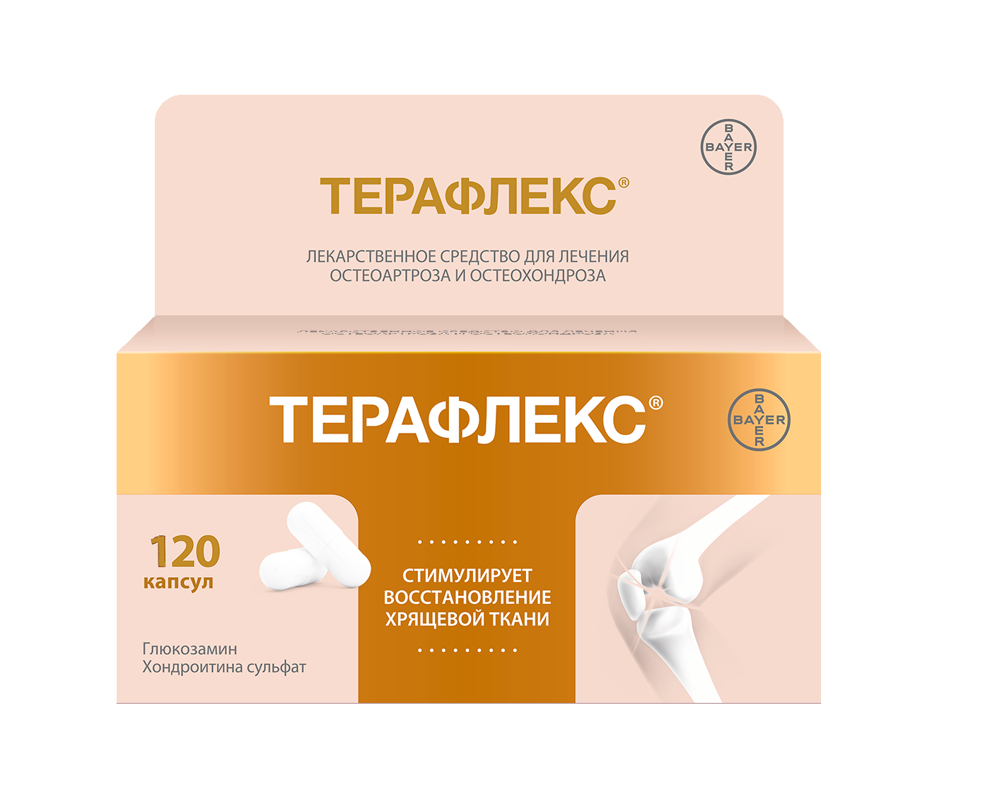 ТЕРАФЛЕКС капсулы N120