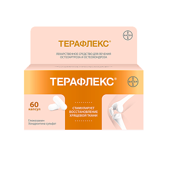 ТЕРАФЛЕКС капсулы N60