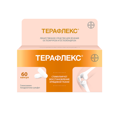 ТЕРАФЛЕКС капсулы N60