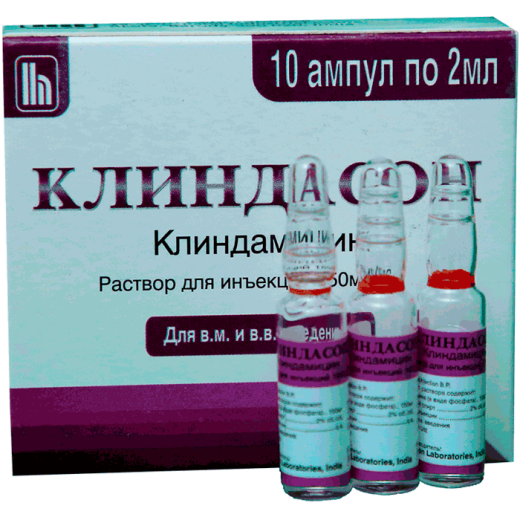 КЛИНДАСОН раствор для инъекций 4мл 150мг/мл N5